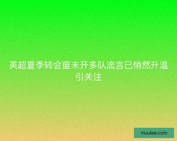 英超夏季转会窗未开多队流言已悄然升温引关注 英超夏季转会窗未开多队流言已悄然升温引关注