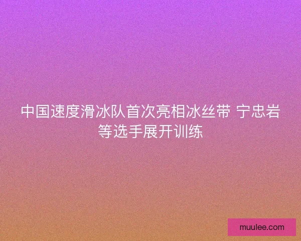 中国速度滑冰队首次亮相冰丝带 宁忠岩等选手展开训练 中国速度滑冰队首次亮相冰丝带 宁忠岩等选手展开训练