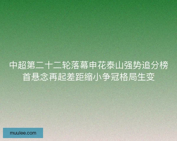 中超第二十二轮落幕申花泰山强势追分榜首悬念再起差距缩小争冠格局生变